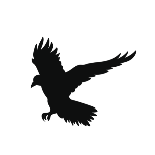 Black bird development agency logo